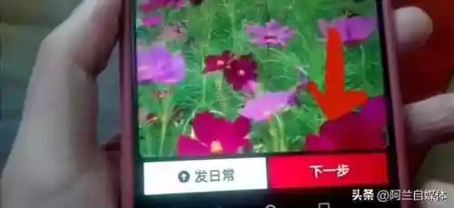 怎么设置动态壁纸(oppo手机怎么设置视频铃声)插图4