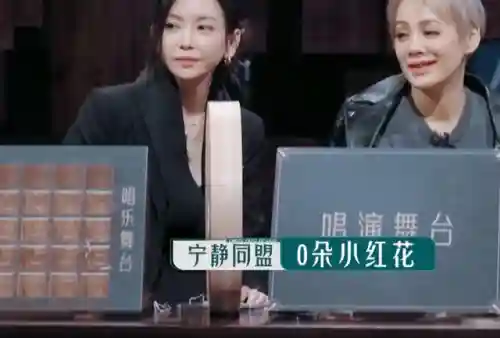 宁静战队阵容搭配最新动态(晴天队最强阵容)插图4