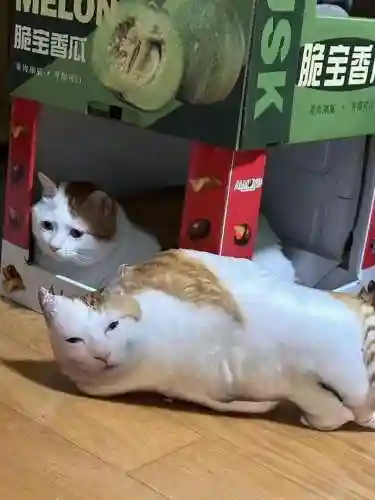 突然的自我歌词(把悲伤留给自己歌词)插图4