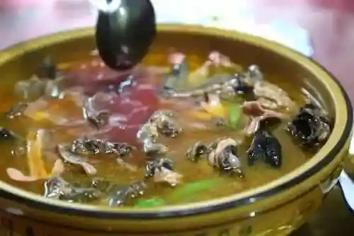 毒蘑菇怪兽(老鼠怪兽)插图3