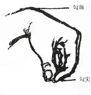 散打教学基本功(散打自学教程)插图2