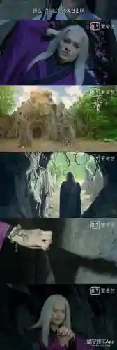 重返帝国倾城战法搭配阵容(梦幻模拟战帝国阵容搭配)插图15