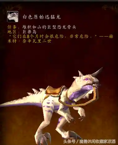魔兽世界祥和微粒哪里刷(一小时一千个祥和微粒)插图11
