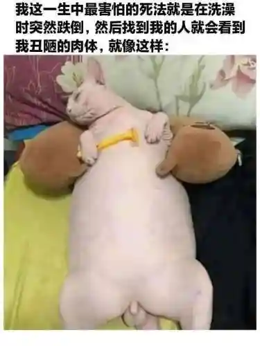 20个极品爆笑笑话(搞笑段子)插图5
