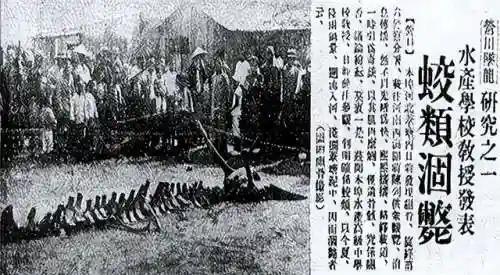 中国未解29件怪事(中国闹鬼最凶的小学)插图7