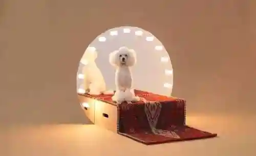萌宠训练家阵容搭配(萌宠大作战)插图4