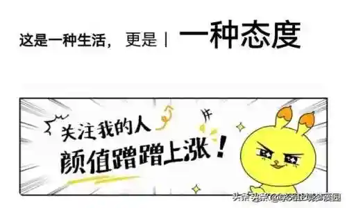 网文写作阵容搭配图表图片(云顶之弈阵容搭配图表)