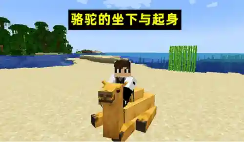 我的世界铁傀儡怎么驯服(怎么让铁傀儡保护自己的家)插图3