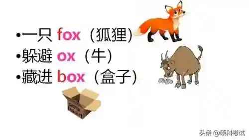 英语单词速记法口诀(免费背单词最好的软件)插图24