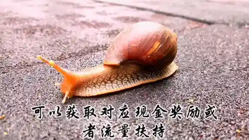 抖音正规接单赚佣金的平台(手机接单平台兼职挣佣金)插图1