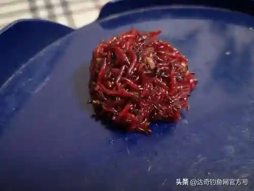 战双深红蚯蚓阵容搭配(战双帕弥什t0阵容)