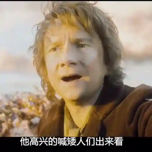 霍比特人2(霍比特人2在线观看免费国语)插图4