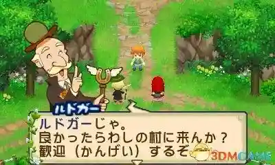牧场物语双子村+攻略(双子村菜谱图文攻略)插图2