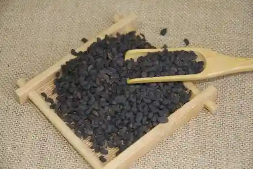 女贞子的功效与作用(女贞子对卵巢功效)