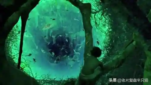 少年派的奇幻漂流(少年派隐喻深度解析)插图57