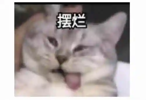 2021新开神途手游开服网(神途手游发布官网)插图4