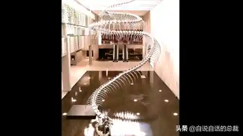 远古巨兽大复活(上古神兽饕餮电影免费)插图40 远古巨兽大复活(上古神兽饕餮电影免费)插图40