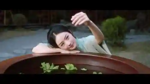 与风行配角阵容搭配攻略(西行纪阵容搭配)插图17