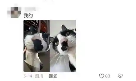 突然的自我歌词(把悲伤留给自己歌词)插图9