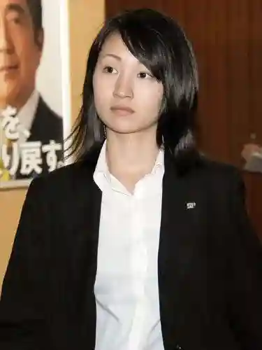安倍保镖阵容搭配推荐图片(护卫配什么阵容)插图13