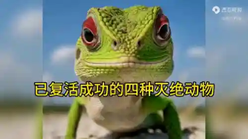 已复活成功的灭绝动物(克隆成功的动物有哪些)