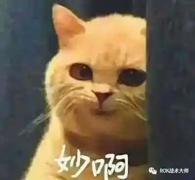 关羽阵容体系搭配什么英雄(三国志战略版关羽最强阵容)插图22