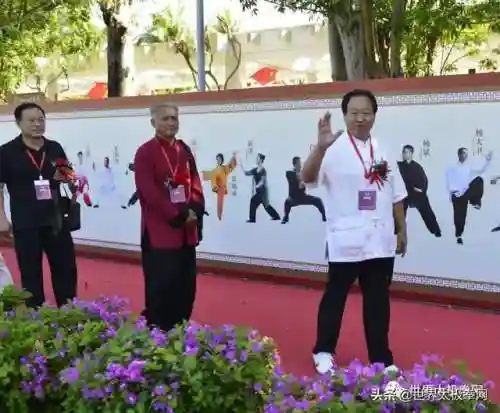 太极演员阵容搭配图片(云太极新款太极表演服装)插图15