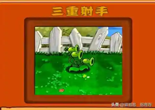 植物大战僵尸墓碑阵容搭配(植物大战僵尸2失落无尽阵容)插图6
