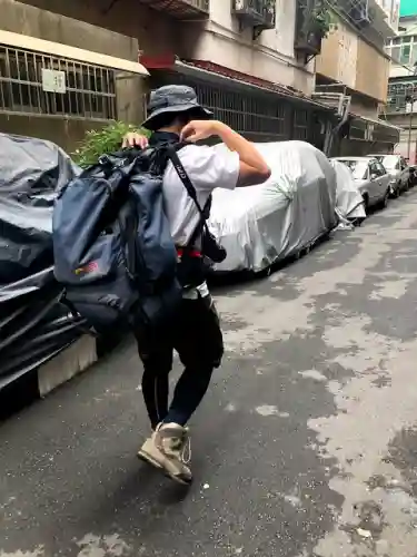 神秘牧场搭配阵容图鉴大全(玛尔斯之殿阵容搭配推荐)