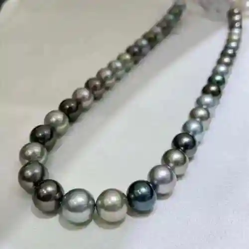 黑蝶皇后怎么搭配阵容(黑蝶是什么)插图4