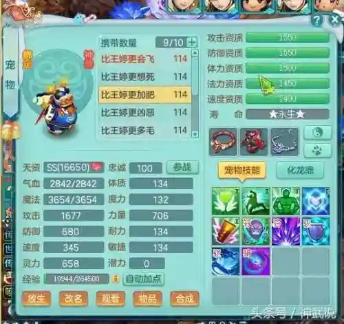 三神一仙阵容搭配(三排什么阵容最好)插图10