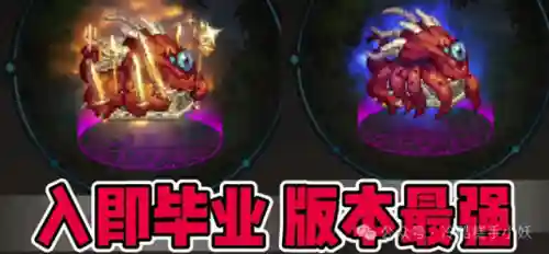 dnf70版本宠物装备(DNF70年代装备图鉴)