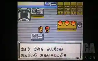 神奇宝贝火红精灵阵容搭配(神奇宝贝十大平民精灵)插图22