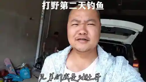 打野鱼搭配什么阵容最强(王者荣耀打野速度最快的英雄)
