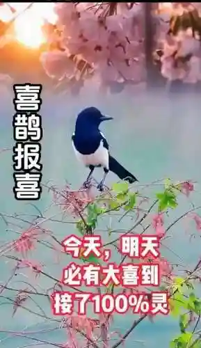 涅槃重生阵容搭配推荐图(迪奥娜阵容搭配平民)插图38