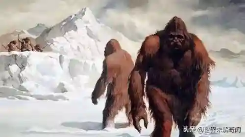 动物之战雪怪阵容搭配(动物大联盟伤害最高搭配)插图7 动物之战雪怪阵容搭配(动物大联盟伤害最高搭配)插图7