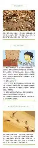 白蚂蚁图片(白蚁消杀收费标准)