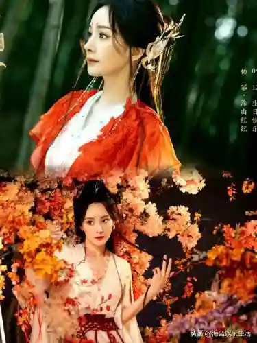 狐狸小红娘阵容搭配图片(狐妖小红娘全人物图片)插图11