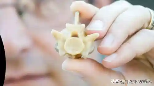 远古巨兽大复活(上古神兽饕餮电影免费)插图33 远古巨兽大复活(上古神兽饕餮电影免费)插图33