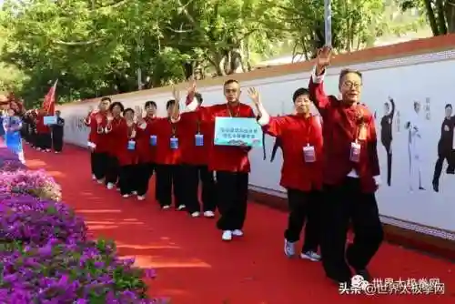 太极演员阵容搭配图片(云太极新款太极表演服装)插图13