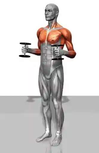 变粗最快的方法(男人如何变大变粗变长)插图4