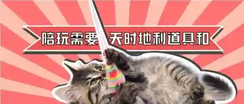 逗猫神器推荐阵容搭配(逗猫神器app)插图1