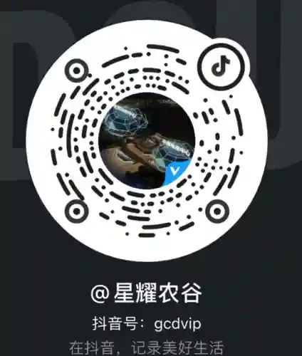 勇者格斗女生推荐阵容搭配(女角色格斗游戏)插图7