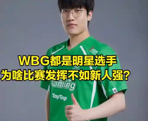 上单小虎阵容搭配最新(老虎适合什么阵容)插图2
