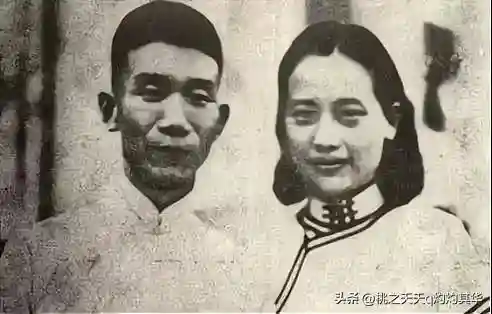 千秋奇缘阵容搭配(奇缘之旅t0阵容)插图3