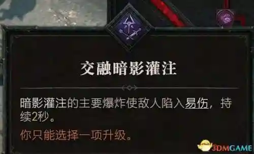 暗黑四刺客搭配阵容推荐(暗黑2刺客最强流派加点)插图42
