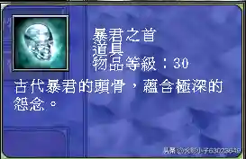 三国群英传7武器图鉴(三国群英传7最牛道具)插图18