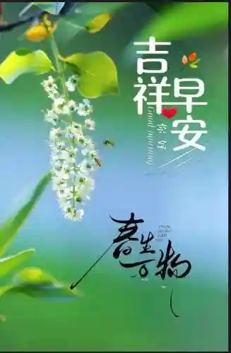早安物语推荐阵容搭配图(心力物语最强阵容)插图25