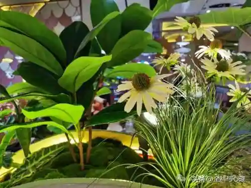 绝望的句子(对女人心寒了彻底看透了句子)插图1