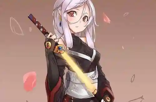 流浪武士军团搭配什么阵容(流浪武士毕业装备推荐)插图2